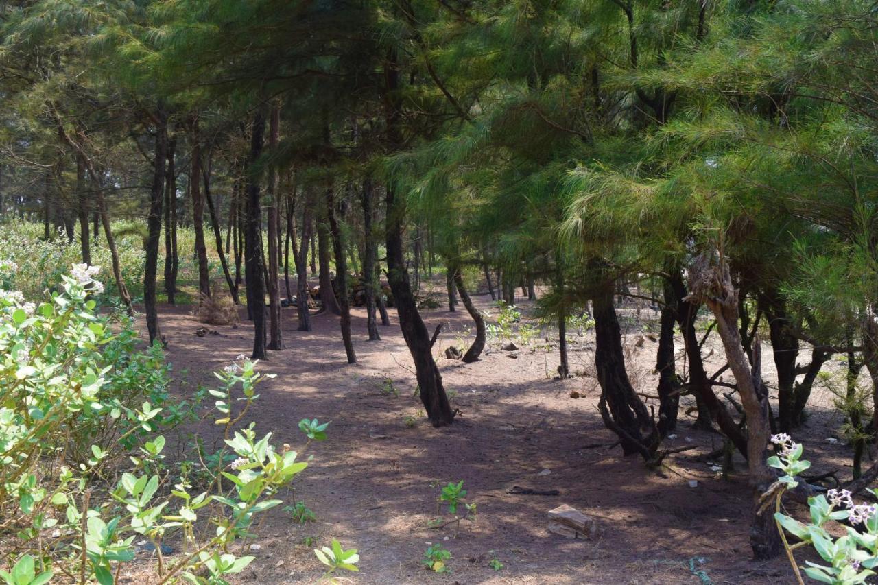 Rama Niwas Beach Home Stay Pawas エクステリア 写真